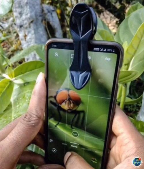 Арень макрофотографии на cвой cмартфон cнимает. 02