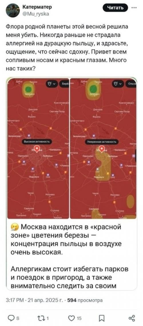 Берёзы - главные враги россиян прямо сейчас. 06