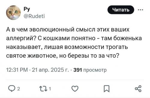 Берёзы - главные враги россиян прямо сейчас. 05