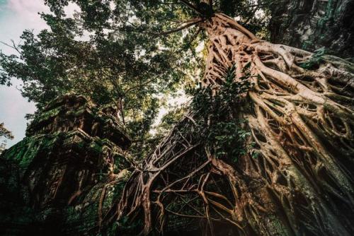 Заброшенные храмы камбоджи. 06