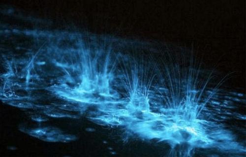 Самые красивые заливы мира. 05