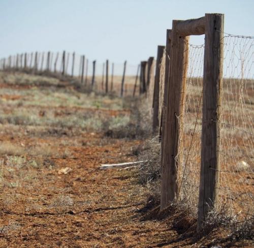 10 неочевидных фактов об Австралии для тех, кто думал, что знает об этой стране все. 09