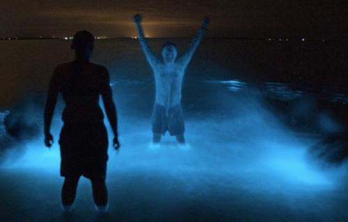 Самые красивые заливы мира. 06