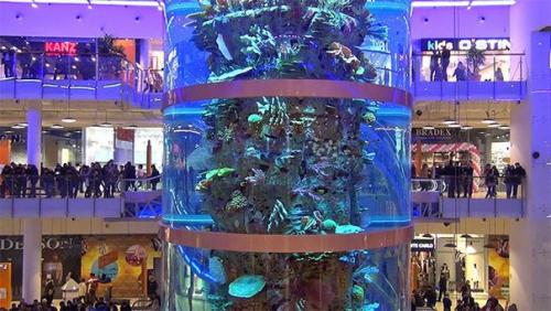 Аквариум торгового центра в Москве занесен в книгу рекордов гиннесса. 03