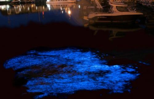 Самые красивые заливы мира. 08