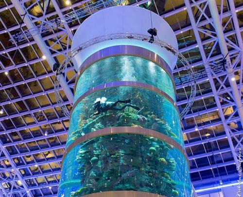 Аквариум торгового центра в Москве занесен в книгу рекордов гиннесса. 02