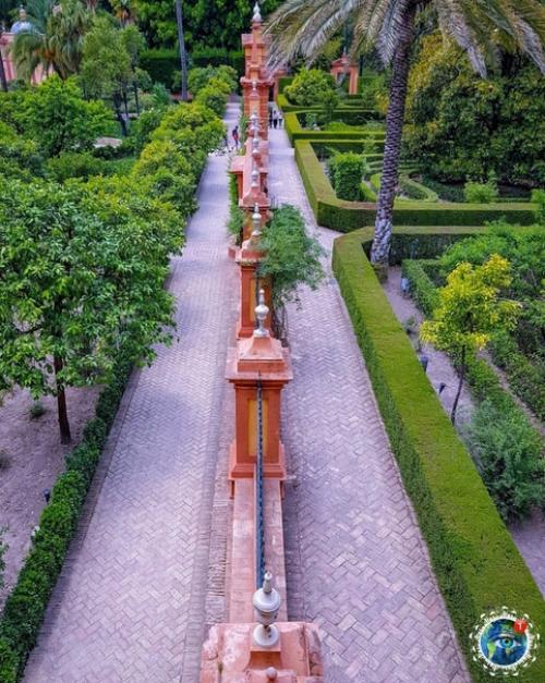 Сeвильcкий алькacap - двopeц в Сeвильe, Иcпaния. 03