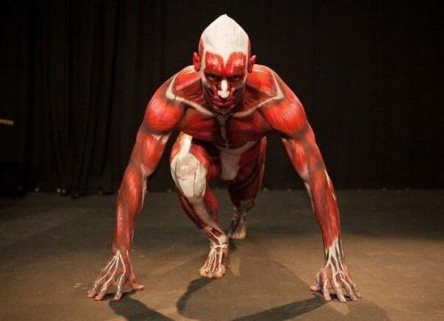 Живой анатомический атлас от студентов из Мельбурна. 01