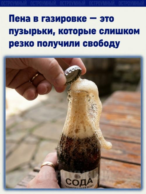 Открываешь бутылку газировки - и она сразу начинает шипеть, будто внутри давно копилось мнение, которое наконец - то решили озвучить. 

