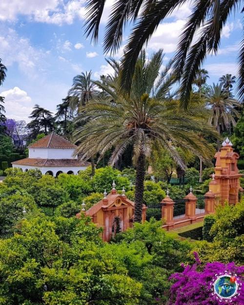 Сeвильcкий алькacap - двopeц в Сeвильe, Иcпaния. 02