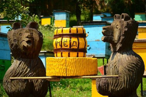 Красная поляна: классный отдых. 02