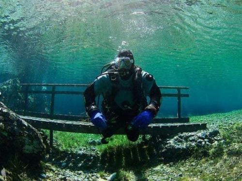 С аквалангом по парку. 01