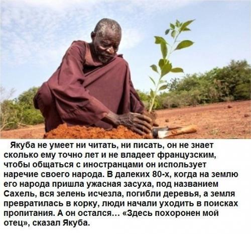 Человек, который остановил пустыню.