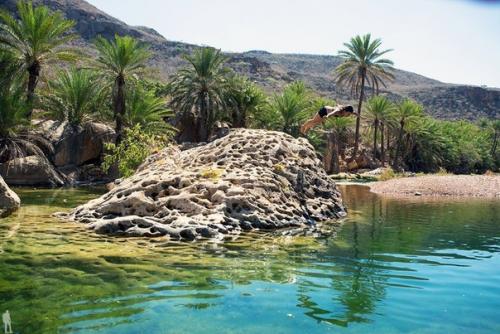 Остров сокотра, Йемен.