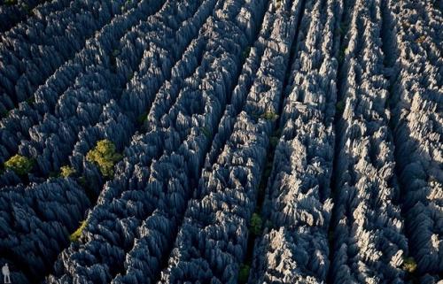 На протяжении многих миллионов лет вода и ветер превратили карстовые скалы в необыкновенный каменный лес. 05