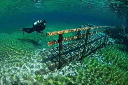 С аквалангом по парку. 02