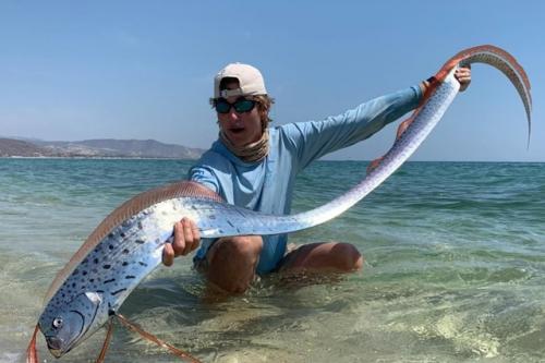 Сельдяной король (Regalecus Glesne). 04