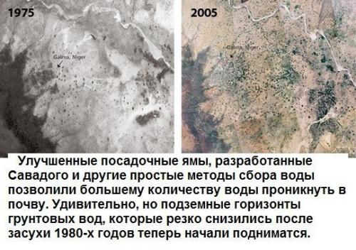 Человек, который остановил пустыню. 02