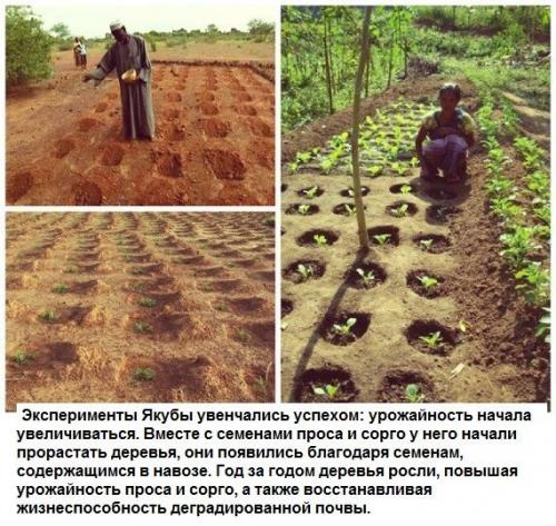 Человек, который остановил пустыню. 03