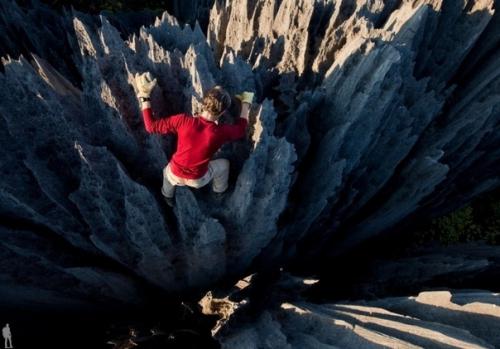 На протяжении многих миллионов лет вода и ветер превратили карстовые скалы в необыкновенный каменный лес. 03
