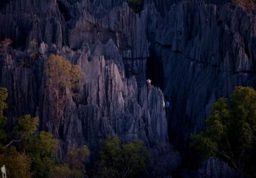 На протяжении многих миллионов лет вода и ветер превратили карстовые скалы в необыкновенный каменный лес. 02