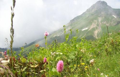 Красная поляна: классный отдых. 04