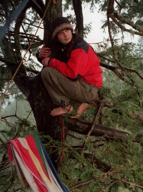 В 1997 году экоактивистка Джулия хилл забралась на огромное калифорнийское дерево по имени Луна, чтобы помешать его вырубке. 02
