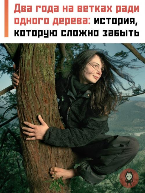 В 1997 году экоактивистка Джулия хилл забралась на огромное калифорнийское дерево по имени 