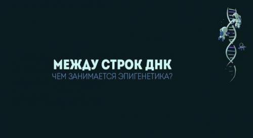 Почему некоторые курильщики живут более ста лет, а люди, ведущие здоровый образ жизни, могут тяжело болеть? 

