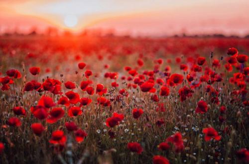 Что посмотреть в Крыму.