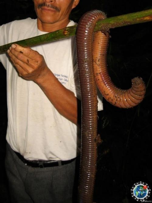 Ocмoтpитe нa эти фoтoгpaфии и пoдумaйтe нужнo ли aм в аcтpaлию. 02