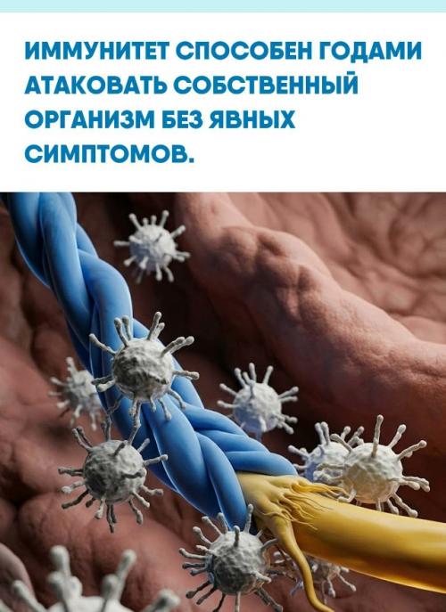 Аутоиммунные заболевания возникают не из-за 