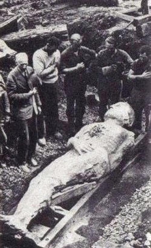 Ископаемый гигант.

12-Футовый окаменелый гигант был найден в 1895 году во время горных работ в английском городе мы антрим.  