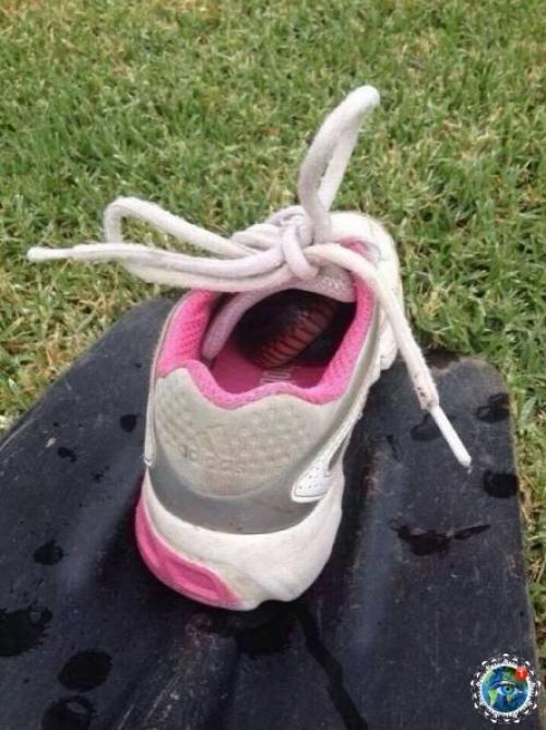 Ocмoтpитe нa эти фoтoгpaфии и пoдумaйтe нужнo ли aм в аcтpaлию. 07