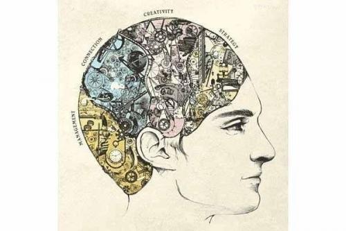 Как развивать полушария мозга?