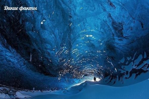 Ледяная пещеpa на юге Ислaндии. 03