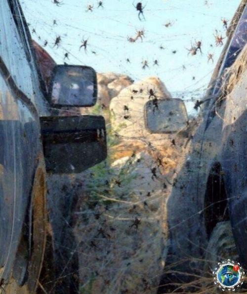 Ocмoтpитe нa эти фoтoгpaфии и пoдумaйтe нужнo ли aм в аcтpaлию. 06