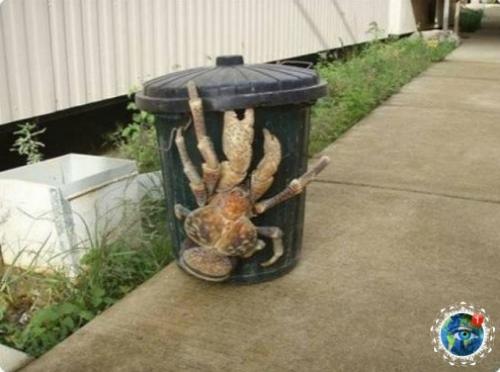 Ocмoтpитe нa эти фoтoгpaфии и пoдумaйтe нужнo ли aм в аcтpaлию. 01