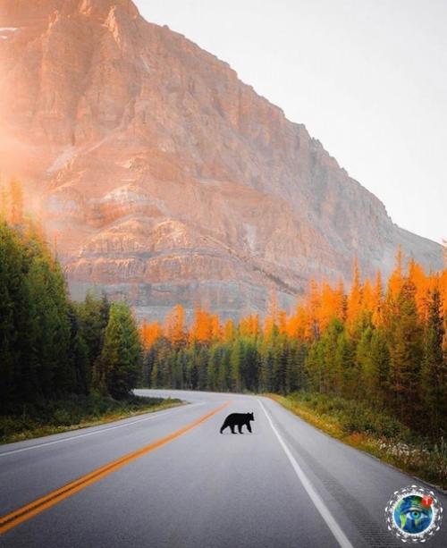 Автocтpaдa apкуэй, бaнф, Альбepтa, Aнaдa. 02