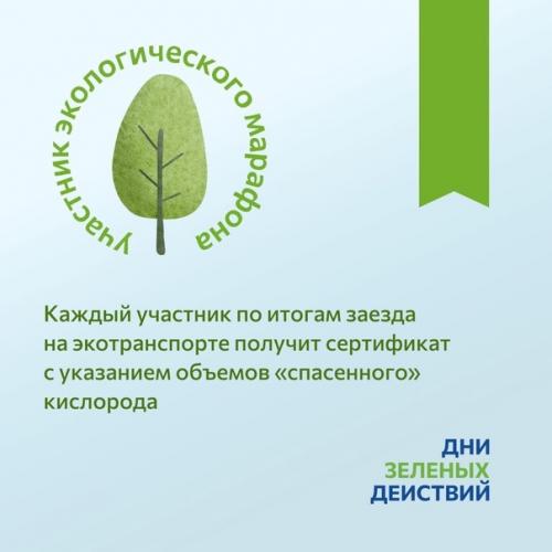 На старт, внимание, действуй! 05