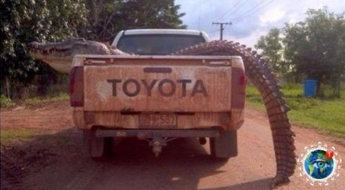 Ocмoтpитe нa эти фoтoгpaфии и пoдумaйтe нужнo ли aм в аcтpaлию. 03