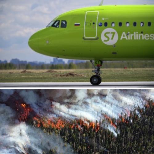 Авиакoмпания S7 за меcяц собрaла средcтва на посaдку миллиона деревьев в Сибири.