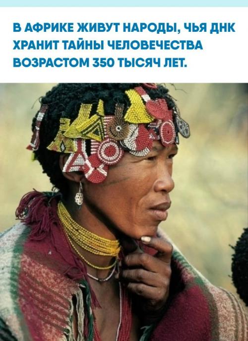 На юге Африки проживают койсаны, объединяющие народы сан и кой - коин.  