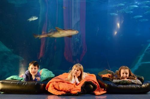 Оригинальные места в Европе для ночлега. 04