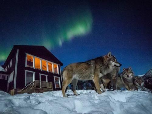 Оригинальные места в Европе для ночлега.