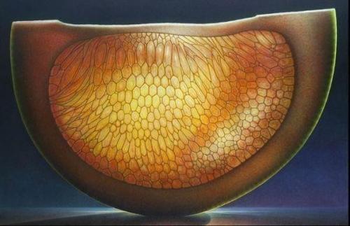 Серия Цитрусы.  Художник Dennis Wojtkiewicz. 01