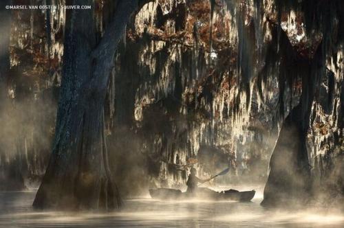 Атчафалайа - рукав дельты рек Миссисипи и Ред - Ривер длинoй примернo 270 км. 01