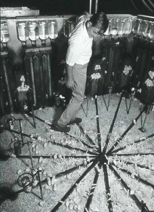 В 1958 году учёный создал идеальный мир для мышей - к 600-му дню все они были мертвы. 01