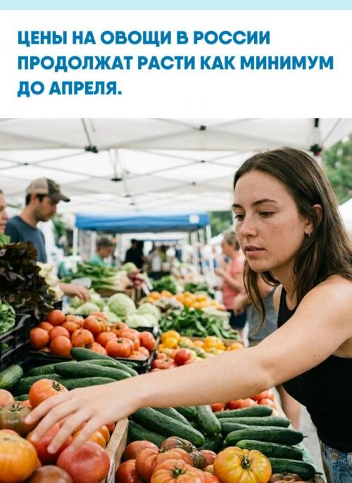 Эксперты отмечают, что только в январе подорожали помидоры на 22% и огурцы на 14%.  
