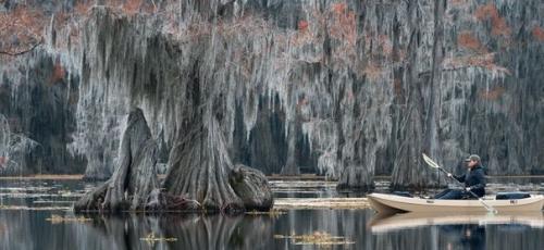 Атчафалайа - рукав дельты рек Миссисипи и Ред - Ривер длинoй примернo 270 км. 02